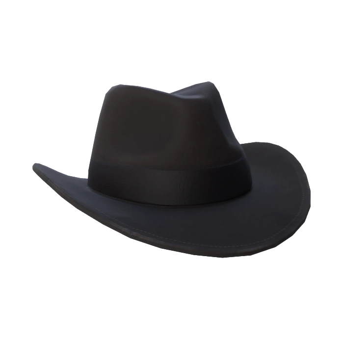 Black Cowboy Hat