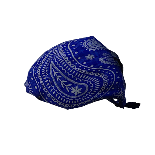 Blue Bandana