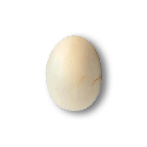 Boiled Egg
