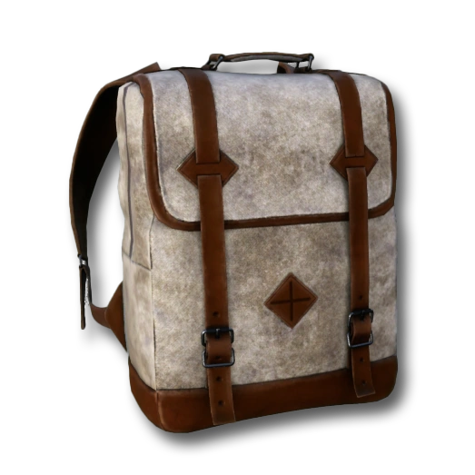 Brown Backpack