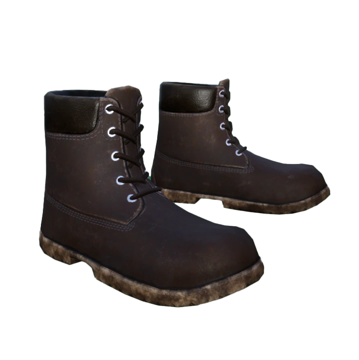 Brown Boots