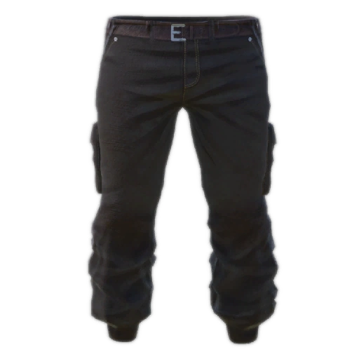 Brown Pants Short
