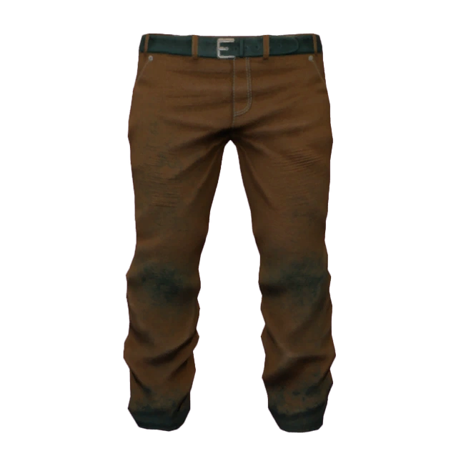 Brown Pants