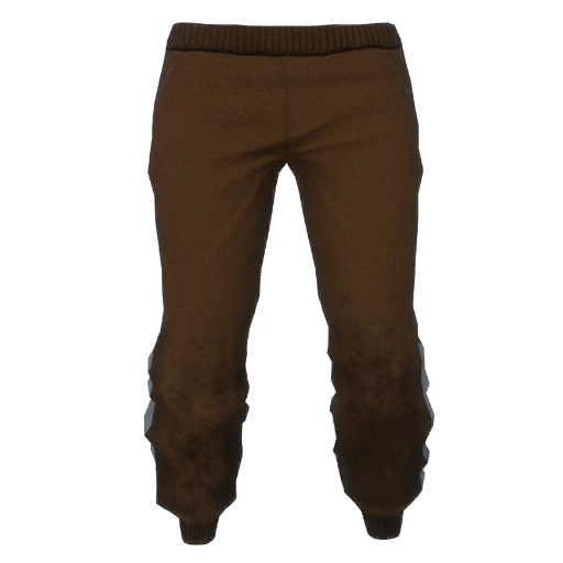 Brown Sports Pants