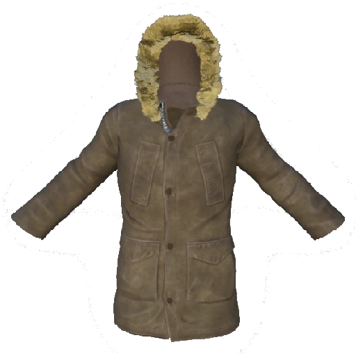 Brown Winter Jacket