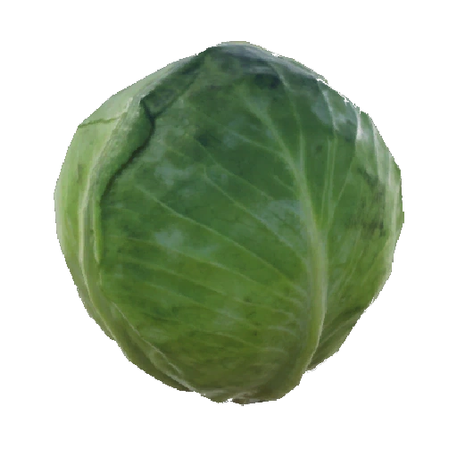 Cabbage