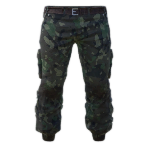 Camo Pants Short