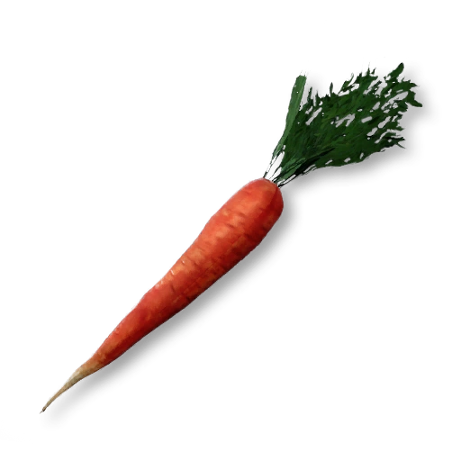 Carrot