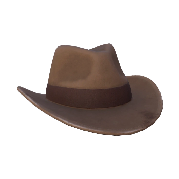 Cowboy Hat