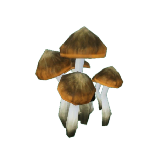 Mushrooms