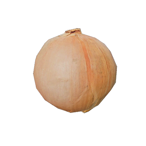 Onion