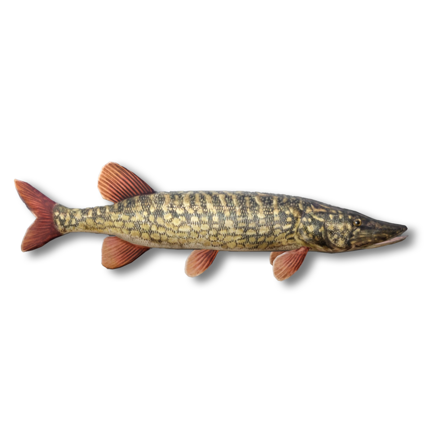 Pike