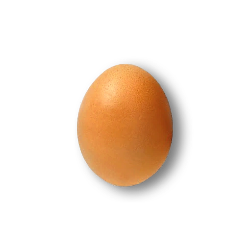 Raw Egg