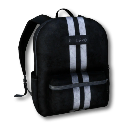 Sports Bag